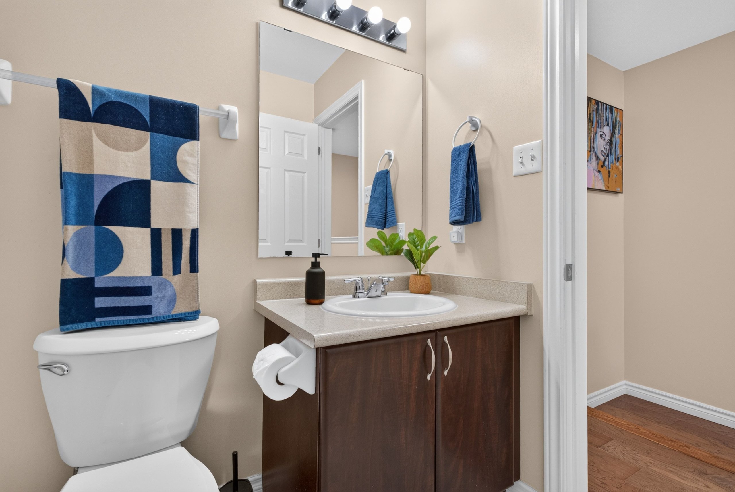 Bathroom vanity